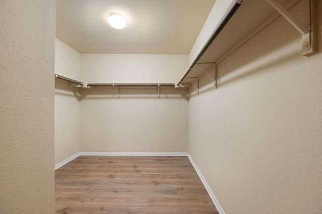 15212 Shell Bark CV, Austin, TX 78724