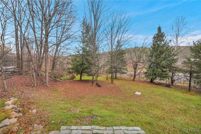 9138 State Road, Colden, NY 14033