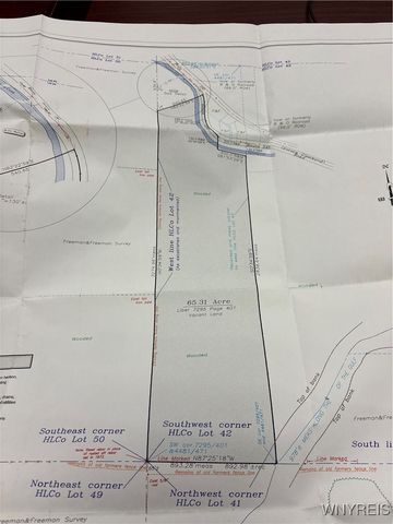 9138 State Road, Colden, NY 14033