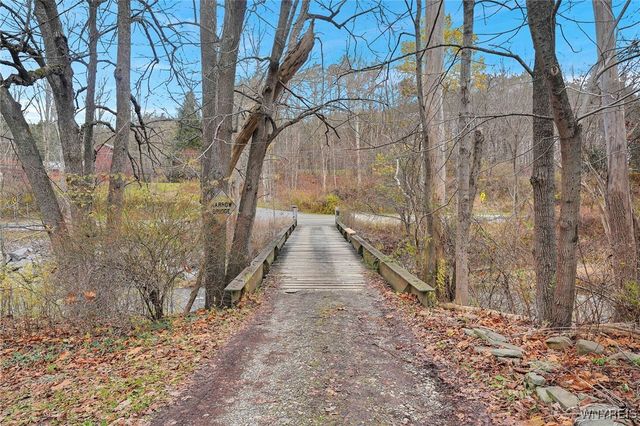 9138 State Road, Colden, NY 14033