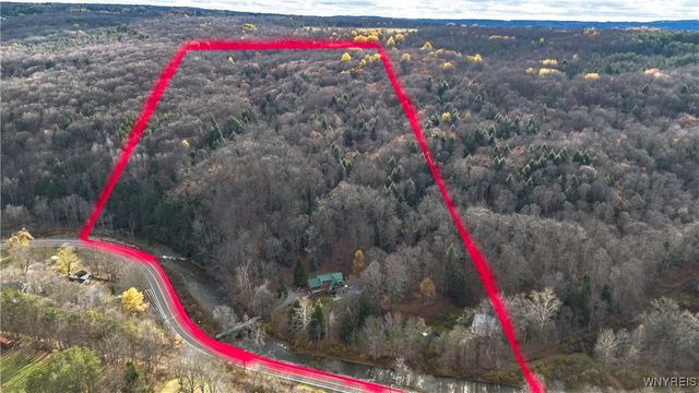 9138 State Road, Colden, NY 14033