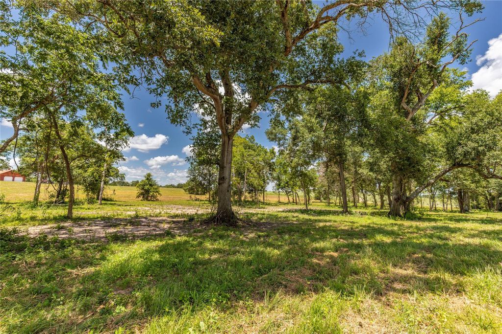 TBD Lynn Road, Chappell Hill, TX 77426