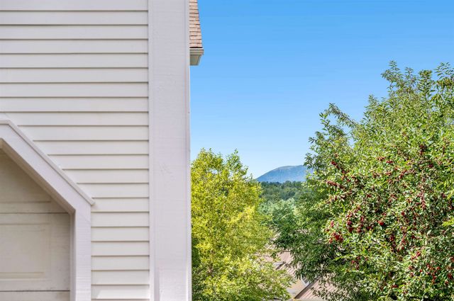 85 Smith Falls Lane, Stowe, VT 05672