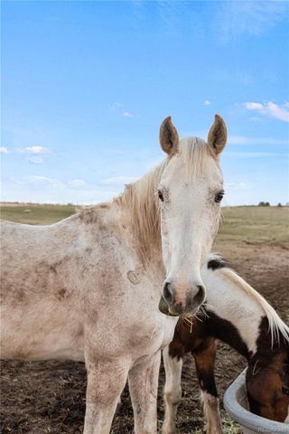 4685 County Road 106, Elbert, CO 80106