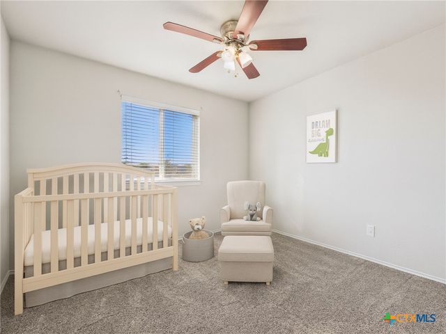 3902 Basset Court, Killeen, TX 76543