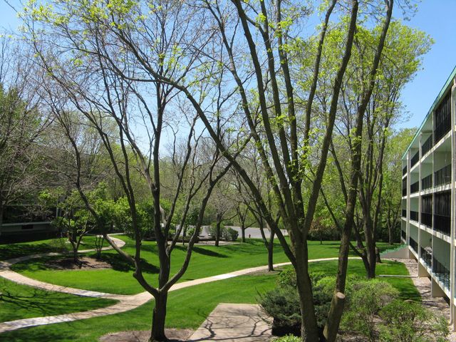 10531 Cedar Lake Road 312, Hopkins, MN 55305