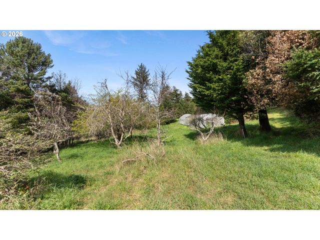 0 HWY 101, Port Orford, OR 97465