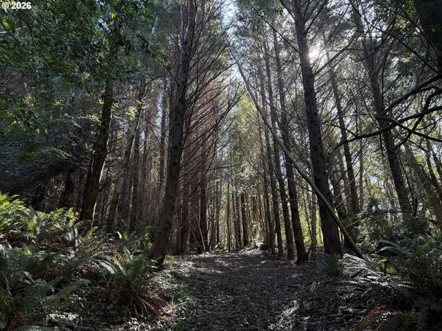 0 HWY 101, Port Orford, OR 97465
