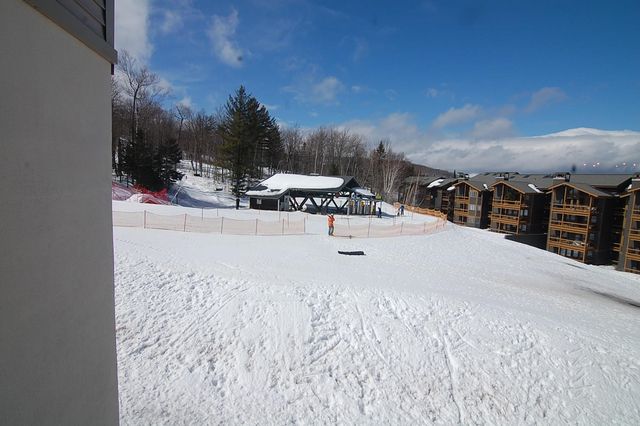 18 Ober Tal Drive F32, Stratton, VT 05155