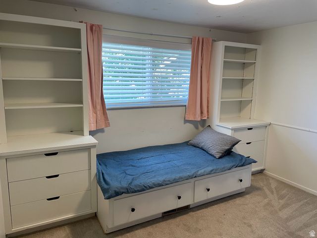 810 N 60 E, American Fork, UT 84003