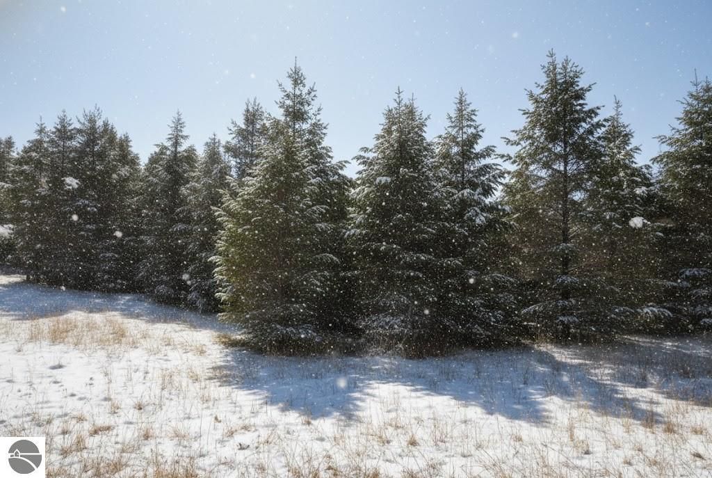 Image 12 of property listing at 10.15 Spruce Hollow Trace, Fife Lake, MI 49633