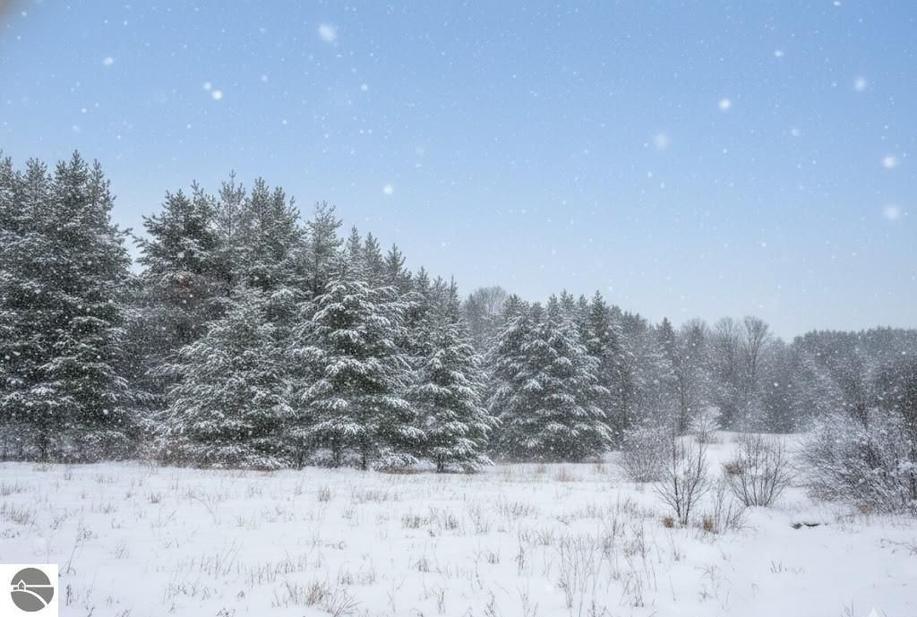 Image 13 of property listing at 10.15 Spruce Hollow Trace, Fife Lake, MI 49633