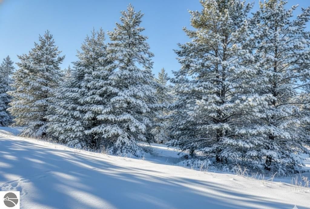 Image 15 of property listing at 10.15 Spruce Hollow Trace, Fife Lake, MI 49633