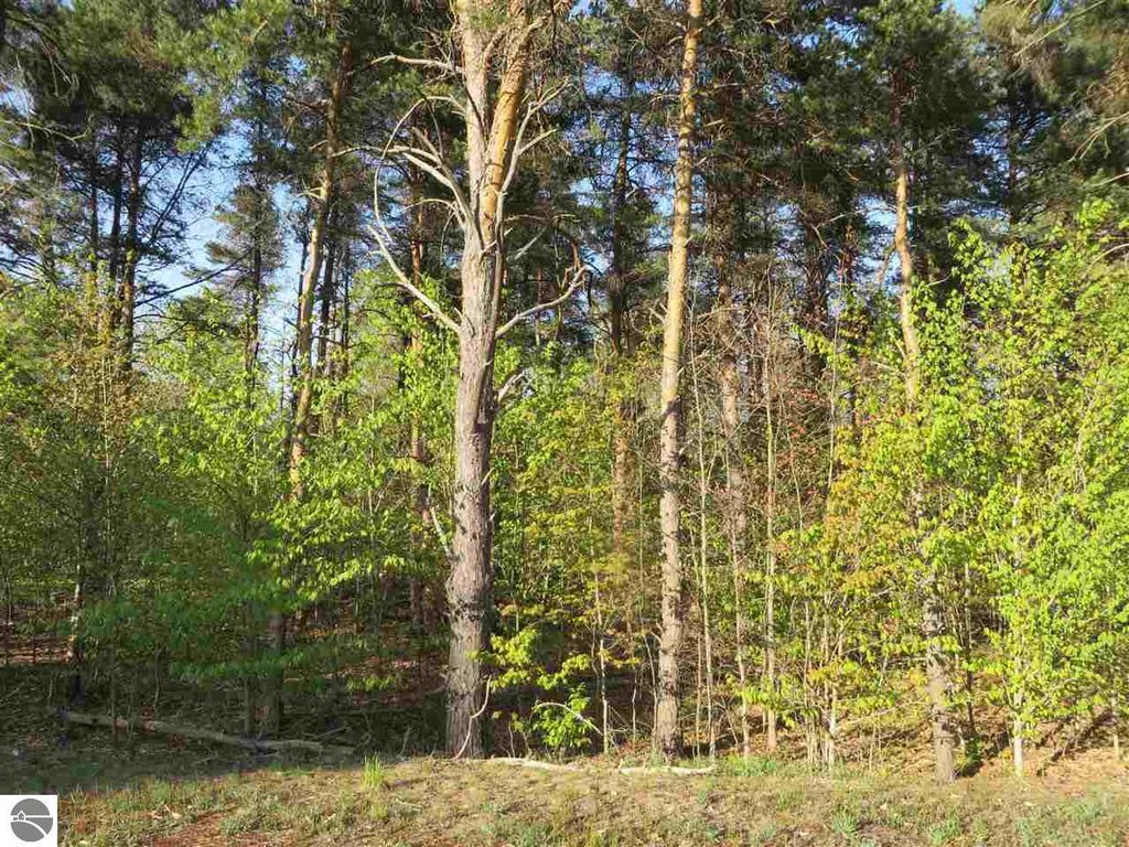 Image 16 of property listing at 10.15 Spruce Hollow Trace, Fife Lake, MI 49633