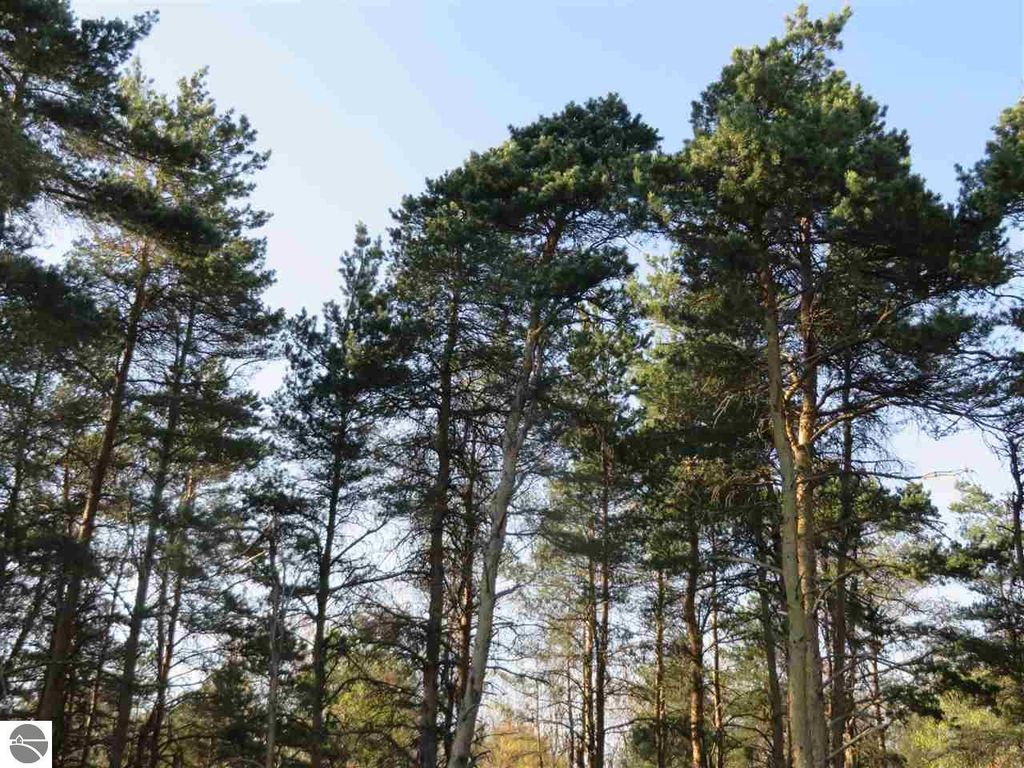 Image 17 of property listing at 10.15 Spruce Hollow Trace, Fife Lake, MI 49633