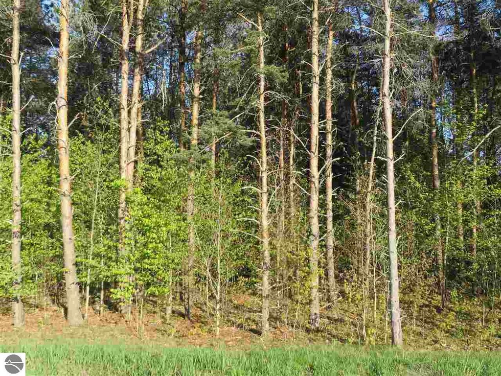 Image 18 of property listing at 10.15 Spruce Hollow Trace, Fife Lake, MI 49633