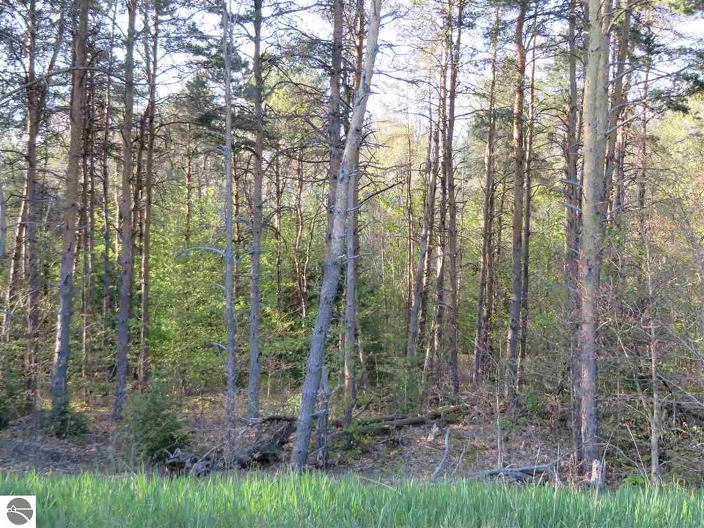 Image 19 of property listing at 10.15 Spruce Hollow Trace, Fife Lake, MI 49633