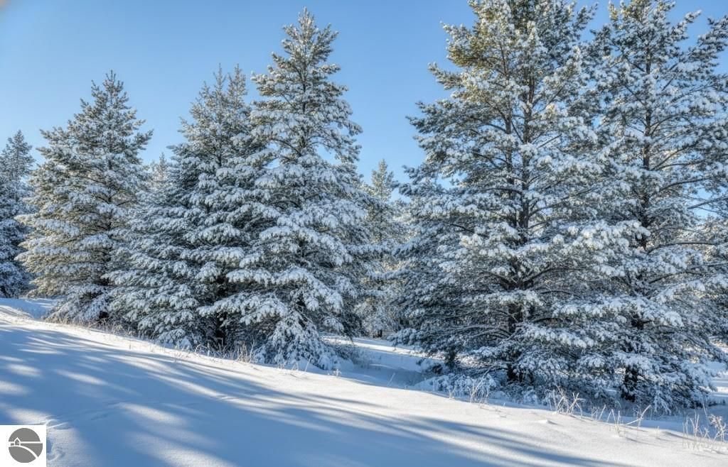 Image 2 of property listing at 10.15 Spruce Hollow Trace, Fife Lake, MI 49633