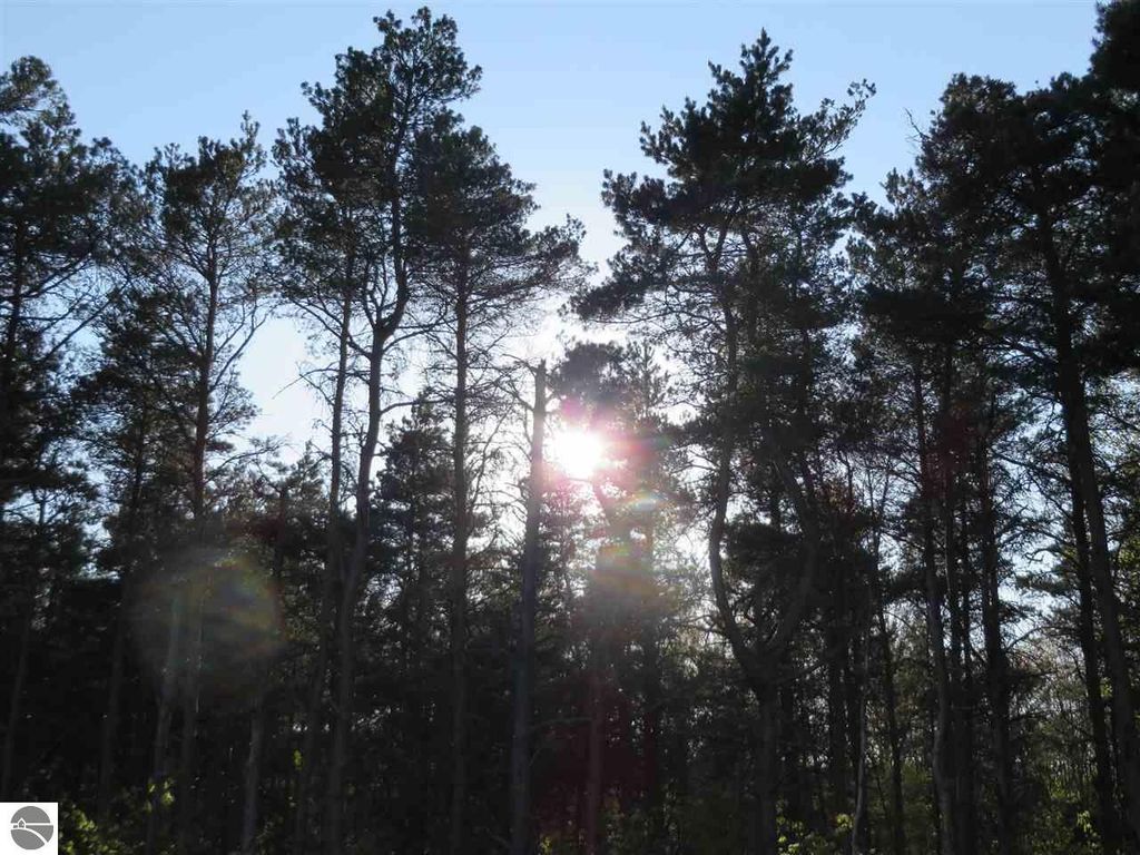 Image 21 of property listing at 10.15 Spruce Hollow Trace, Fife Lake, MI 49633