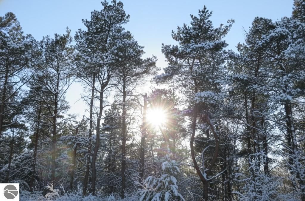 Image 22 of property listing at 10.15 Spruce Hollow Trace, Fife Lake, MI 49633