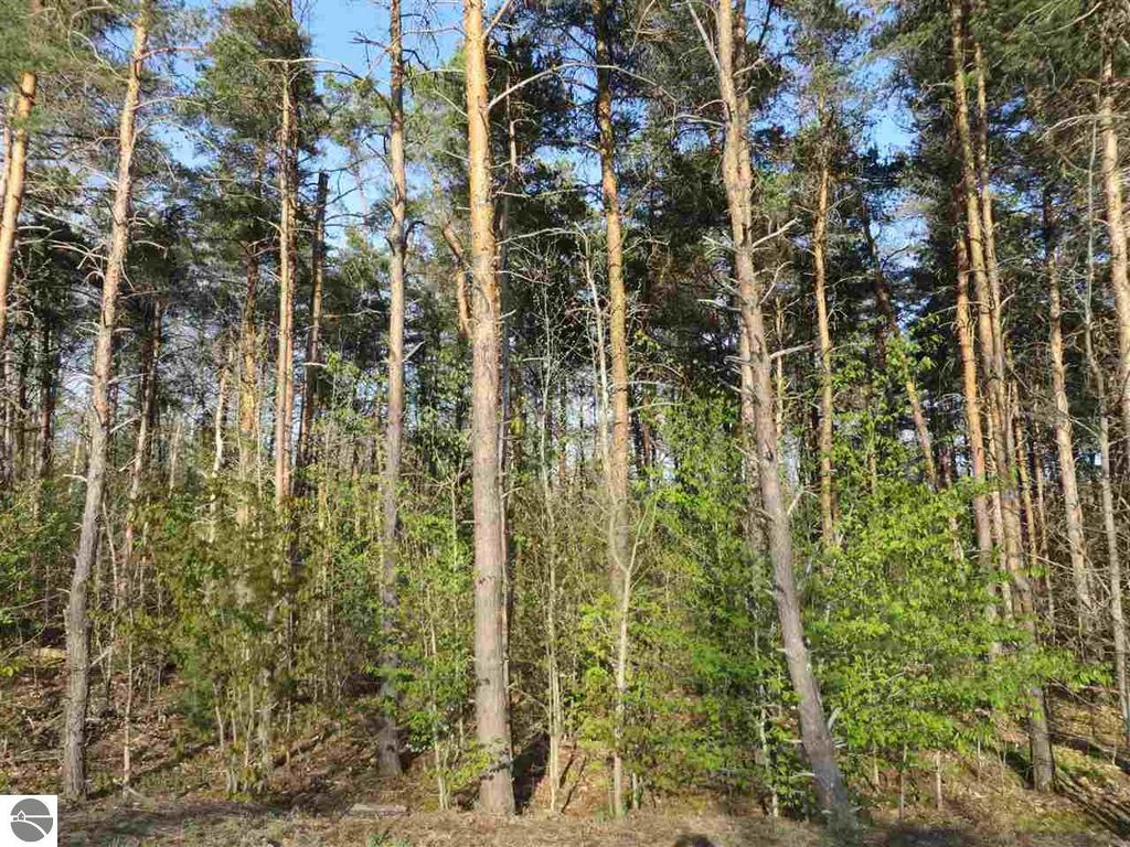 Image 23 of property listing at 10.15 Spruce Hollow Trace, Fife Lake, MI 49633