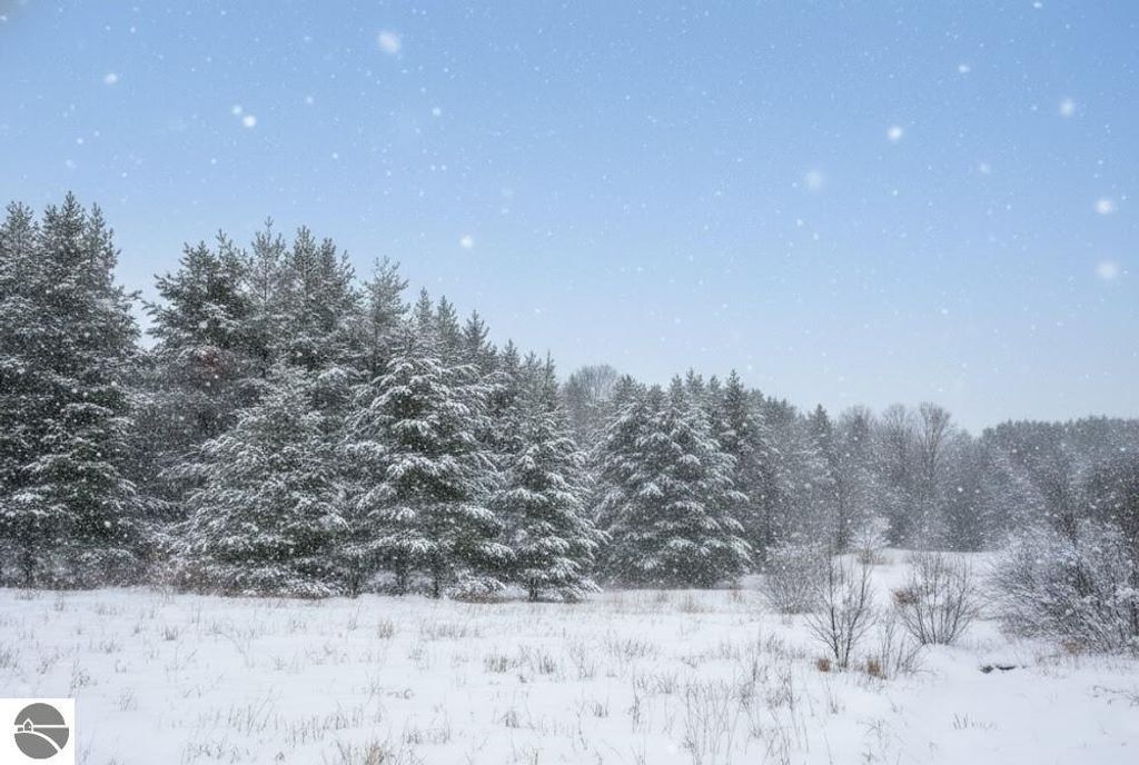 Image 3 of property listing at 10.15 Spruce Hollow Trace, Fife Lake, MI 49633