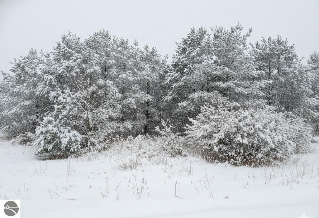 Image 5 of property listing at 10.15 Spruce Hollow Trace, Fife Lake, MI 49633