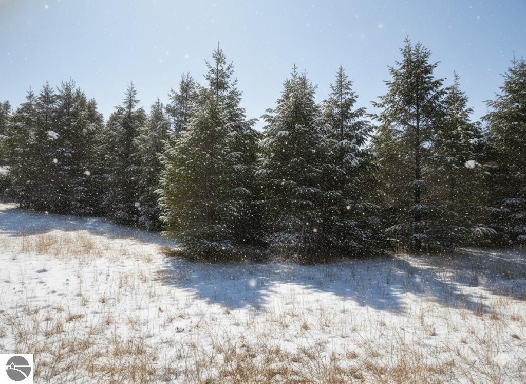 Image 6 of property listing at 10.15 Spruce Hollow Trace, Fife Lake, MI 49633