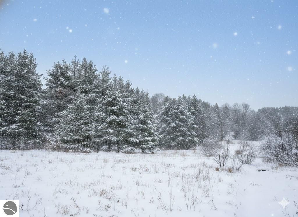 Image 8 of property listing at 10.15 Spruce Hollow Trace, Fife Lake, MI 49633