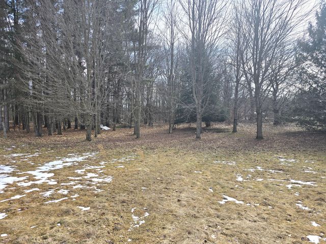 8020 Day Road, Assyria Twp, MI 49021