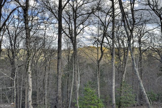 250 Wolf Creek Mountain Road 19, Mineral Bluff, GA 30559