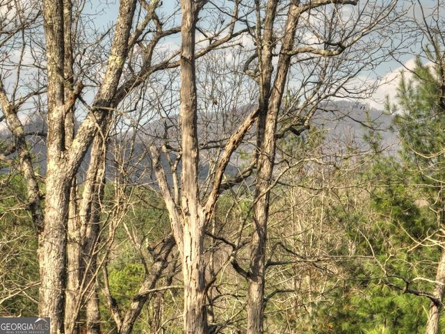 250 Wolf Creek Mountain Road 19, Mineral Bluff, GA 30559