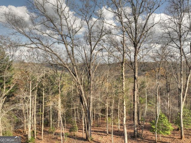 250 Wolf Creek Mountain Road 19, Mineral Bluff, GA 30559