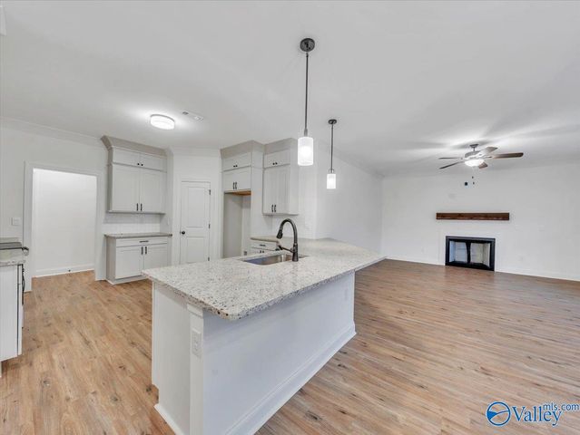 675 Chambers Road, Arab, AL 35016