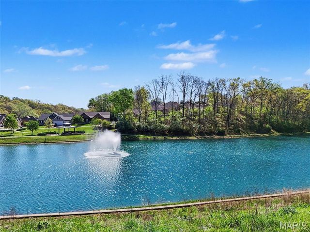 1220 Birch Meadow Court, High Ridge, MO 63049