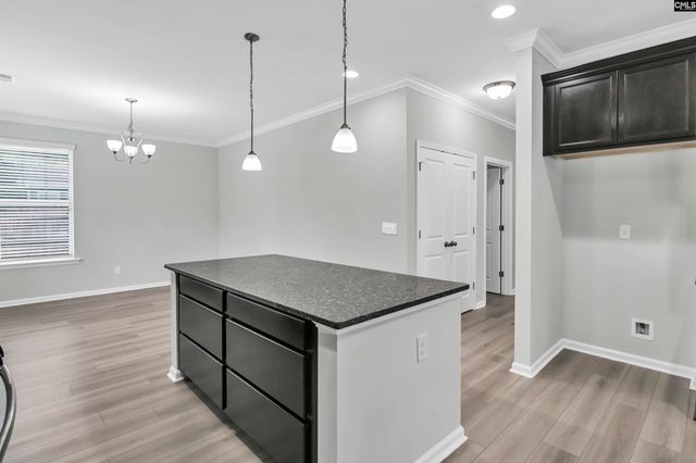 409 Crawley Lane, Chapin, SC 29036