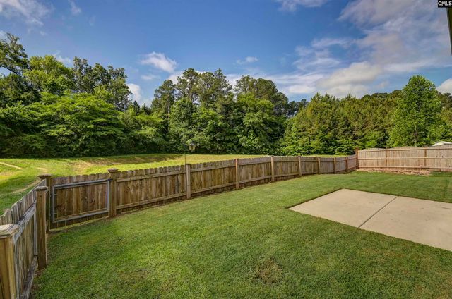 409 Crawley Lane, Chapin, SC 29036