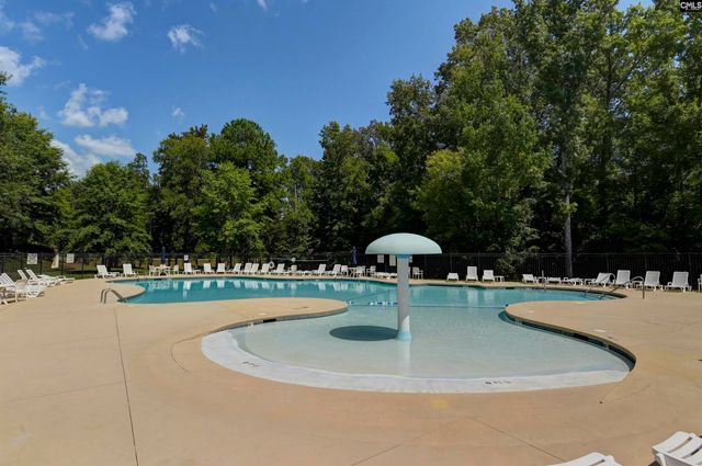 409 Crawley Lane, Chapin, SC 29036