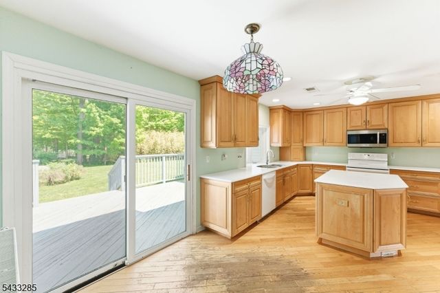3 Elm St, Chester Boro, NJ 07930