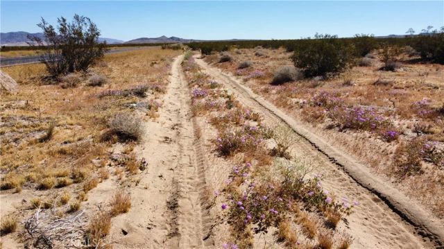 0 Ca-247, Johnson Valley, CA 92285