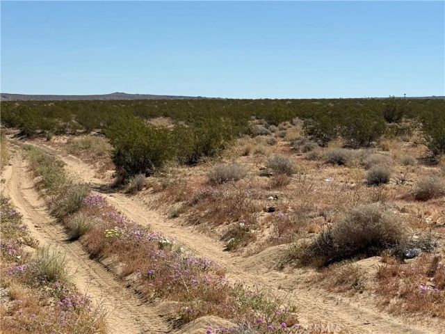 0 Ca-247, Johnson Valley, CA 92285