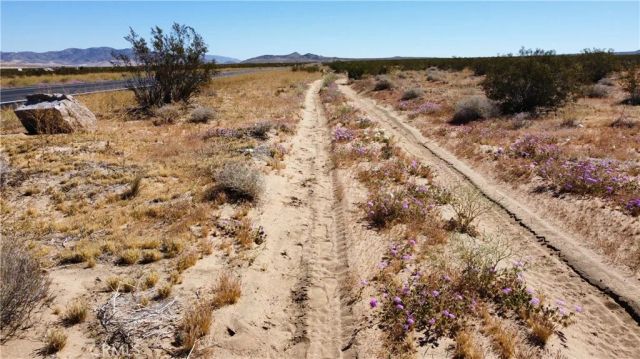 0 Ca-247, Johnson Valley, CA 92285