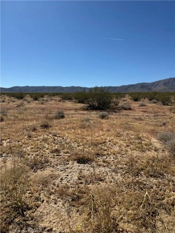 0 Ca-247, Johnson Valley, CA 92285