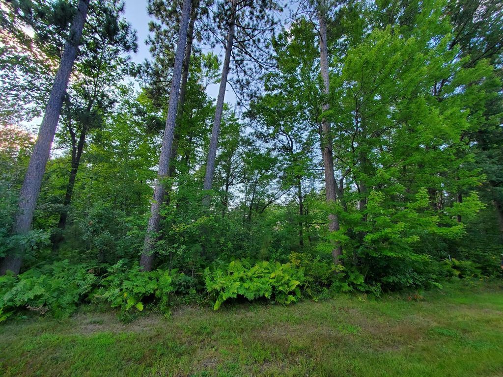 TBD Redfern Trl, Crow Wing Twp, MN 56401