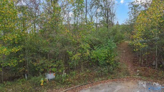 4623 Legacy Preserve Way, Brownsboro, AL 35741