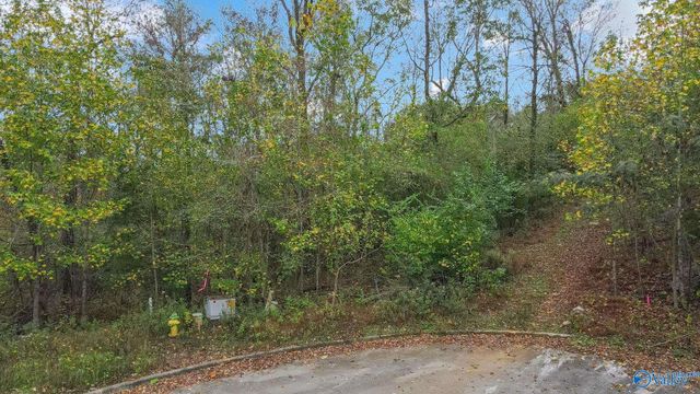 4623 Legacy Preserve Way, Brownsboro, AL 35741