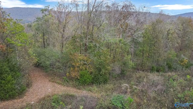 4623 Legacy Preserve Way, Brownsboro, AL 35741