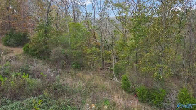4623 Legacy Preserve Way, Brownsboro, AL 35741