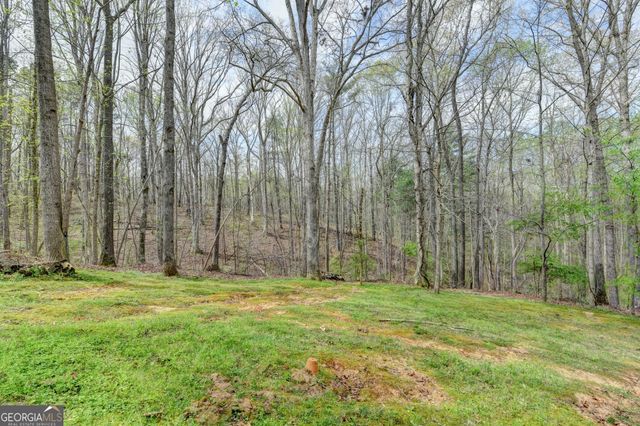 8780 Waterside Drive, Ball Ground, GA 30107