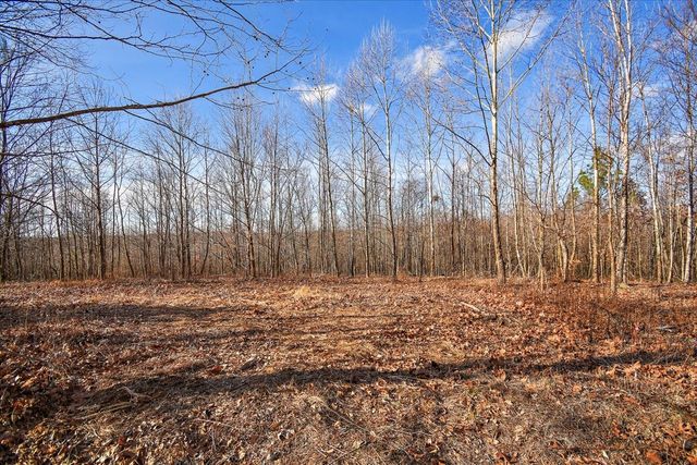 98 Saddleback Drive, Dover, TN 37058